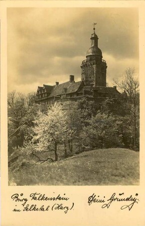 Ansichtskarte: Burg Falkenstein im Selketal (Harz).