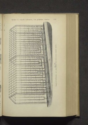 Fig. 170. Doppeltes freistehendes, oben geschlossenes, einen Laubengang bildendes Spalier