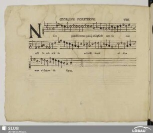 VIII. Forster, Georg: Non potest homo