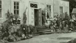 Garten vor meinem Atelier