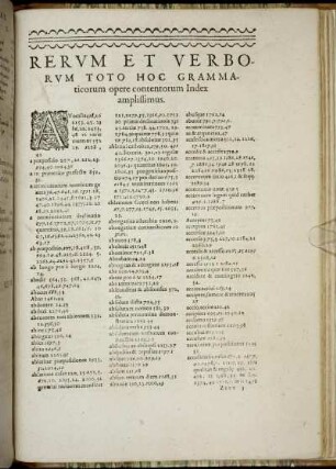 Rerum Et Verborum Toto Hoc Grammaticorum opere contentorum Index amplissimus