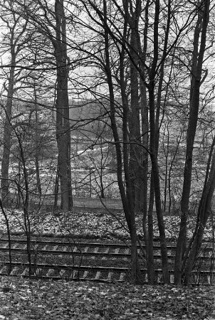Kneeden: vorn Trasse der Eisenbahnstrecke Hamburg-Lübeck: dahinter Bundesstraße 75 zwischen Bäumen: im Hintergrund Trave: Winter