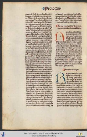 Prologi in librum duodecim prophetarum