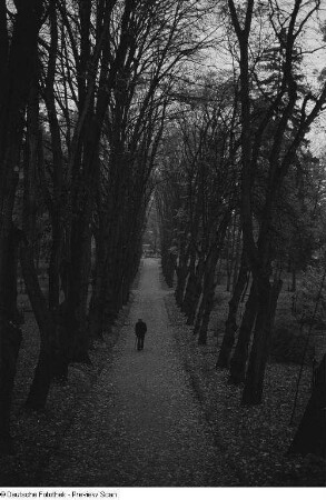 Weg zur Fürstengruft auf dem Historischen Friedhof