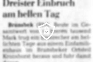 Dreister Einbruch am hellen Tag