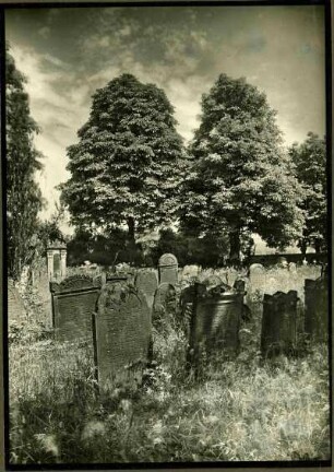 alter jüdischer Friedhof. Gruppe 19. Jh.