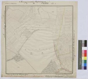 [Dominikal- und Zehntrenten der Standesherrschaft Löwenstein-Wertheim-Rosenberg in der Steuergemeinde Billingshausen (Topograph. Karte 1:2500)