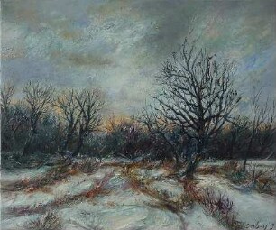 Auenlandschaft bei Leipzig IV´13