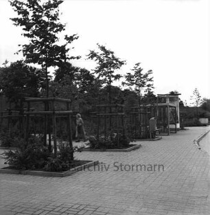 Stadtteil Gartenholz: Ecke Gartenholz / Pellwormstieg: Bushaltestelle: Litfaßsäule, Papierkorb: junge Bäume: Frau