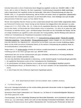 IV. Die benthonischen Ostracoden des Limski Kanal