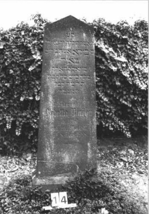 Grabstein 14 (Index: 99808387) Material: Sandstein Zustand: verwittert Maße HxBxT: 137x45x23 cm Beschreibung: konische Stele, Sockel, giebelartiger Abschluß: Grabstein 14