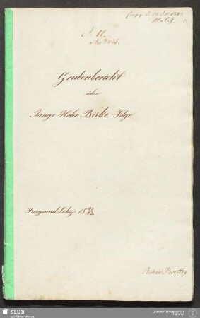 Grubenbericht über Junge Hohe Birke Fdgr. - 18.7087 4.