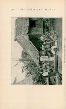 A typical Philippine scene - Luzon