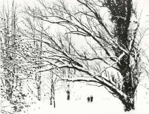 Winterspaziergang grafisch, abstrakt