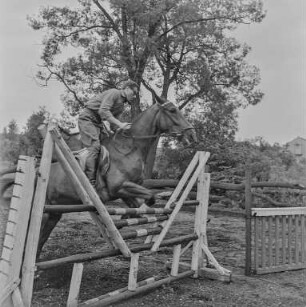 Reiter Strehla : Strehla. Reiter und Pferd beim Hindernislauf