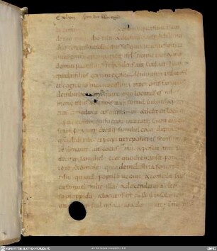 Buch Samuel I - II