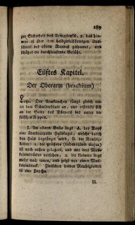Eilftes Kaptiel. Der Oberarm (brachium).