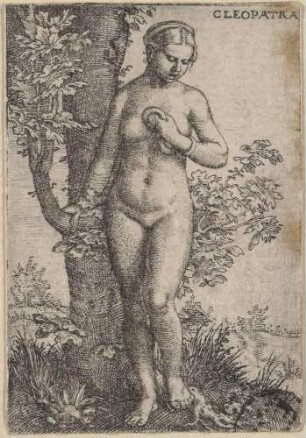Cleopatra