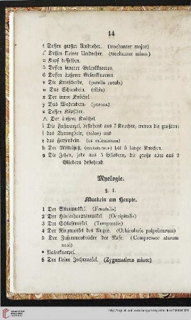 Myologie