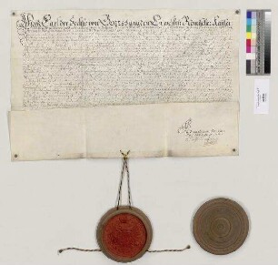 Kaiser Karl VI. bestätigt Anselm Godin de Tampezo, Abt von St. Emmeram, alle Privilegien und Rechte, die das Reichsstift bisher innegehabt hat. S=A