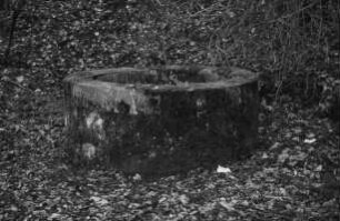 Hessenbrunnen; Heppenheim, Burggut