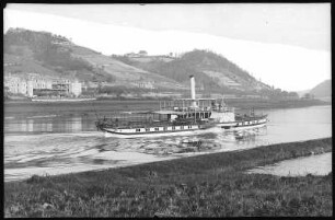 Meißen. Bosel und Elbe m. Dampfer Bodenbach