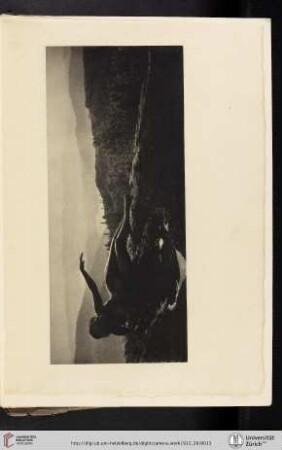 [Anne Wardrope Brigman, II. Dawn, photogravure from the enlarged original film negative]