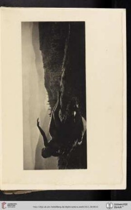 [Anne Wardrope Brigman, II. Dawn, photogravure from the enlarged original film negative]