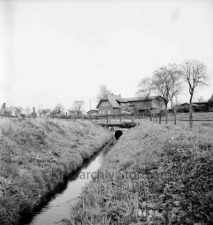Viehbach bei Mollhagen: im Hintergrund Bauerngehöft: davor Bäume und Zäune