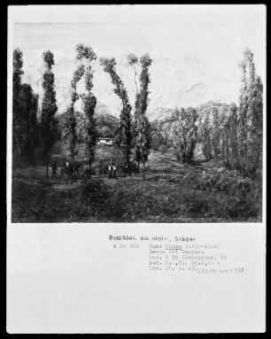 Berge bei Carrara