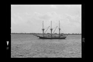 Godewind