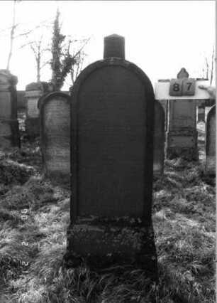 Grabstein 87 (Index: 100116240) Material: Sandstein Zustand: gut Maße HxBxT: 156x55x25 cm Beschreibung: doppelt aufgesockelte Stele mit Rundbogenabschluß und eingetieftem Schriftfeld, weiteres Schriftfeld auf dem Sockel: Grabstein 87