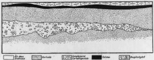 Deszendenzbildungen (Everding) : Geologie | Geologie der Salzlagerstätten