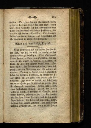 Neun und dreysigstes Kapitel.