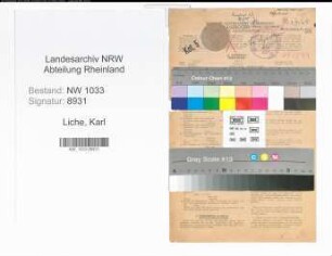 Entnazifizierung Karl Liche , geb. 14.04.1891 (Polizeibeamter)