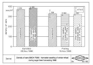Density of ears BBCH 75/80, harvester-seeding of winter wheat during sugar beet harvesting 1996