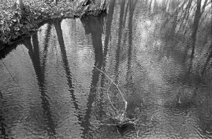 In Görlsdorf an der Welse : In Görlsdorf an der Welse, siehe 2704_22