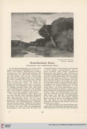 Niederländische Kunst : Betrachtungen eines niederdeutschen Malers