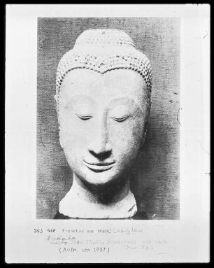 Buddha