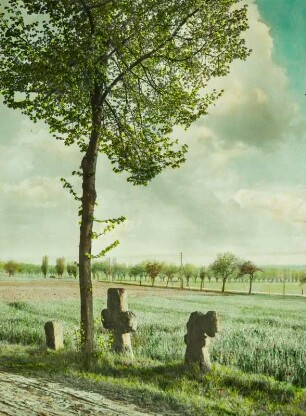 Kreuzstein und zwei Steinkreuze : Neschwitz, Kreuzstein mit Johanniterkreuz und zwei Steinkreuze (Lateinisches bzw. Tatzenkreuz) an einem Feldweg zur F 96 nordöstlich des Ortes