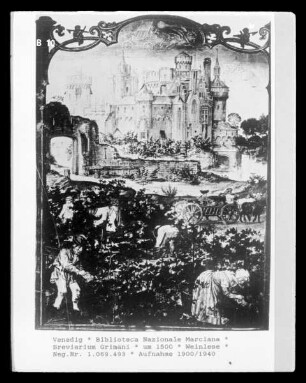 Breviarium Grimani — Weinlese