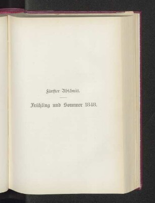 Fünfter Abschnitt. Frühling und Sommer 1848.