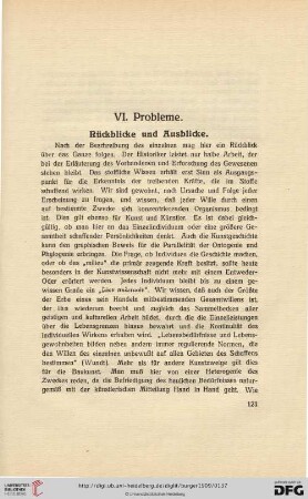 VI. Probleme. Rückblicke und Ausblicke