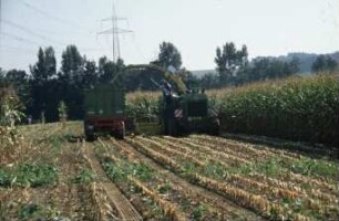 Fotografie: Ernteverfahren, Feldhäcksler selbstfahrend, Maissilage, Parallelverfahren, Ertragsmessung, Feldtest