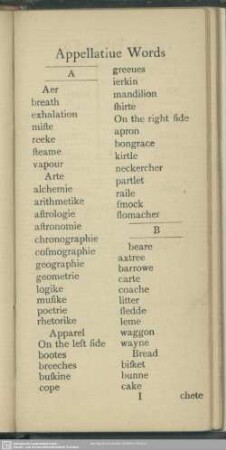 Appellatiue Words