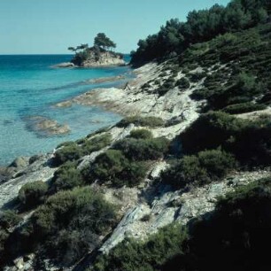 Thasos. Strand bei Makrin Ammos
