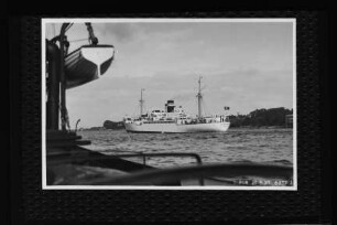 Palime (1937), Laeisz.- F. Laeisz Schiffahrtsgesellschaft, F. Laeisz GmbH, Hamburg