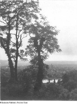 Blick vom Wachwitzer Elbhang über die Elbe auf Dresden-Striesen