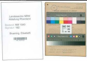 Entnazifizierung Elisabeth Bruening , geb. 18.01.1919 (Lehrerin)
