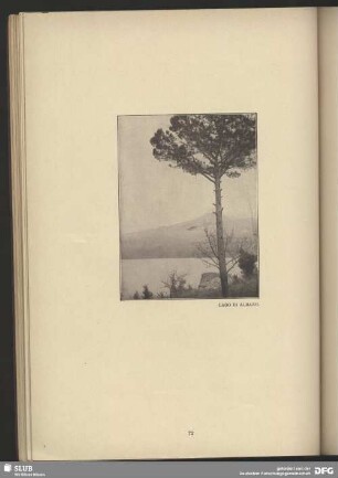 Lago Di Albano